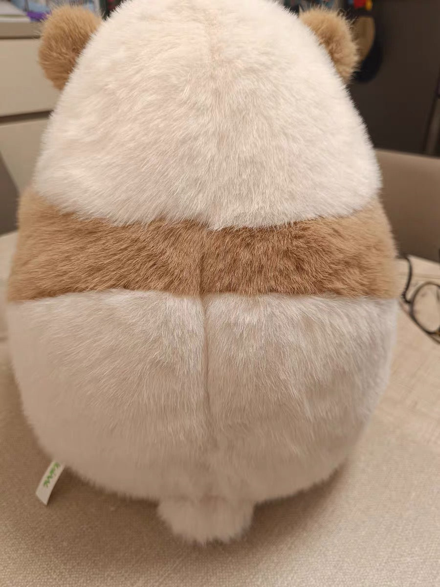 🤎Brown panda 🐼