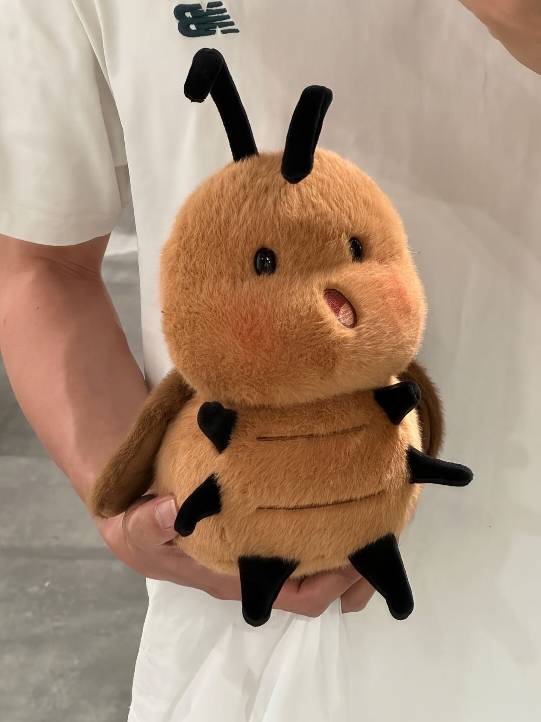 Cockroach🪳