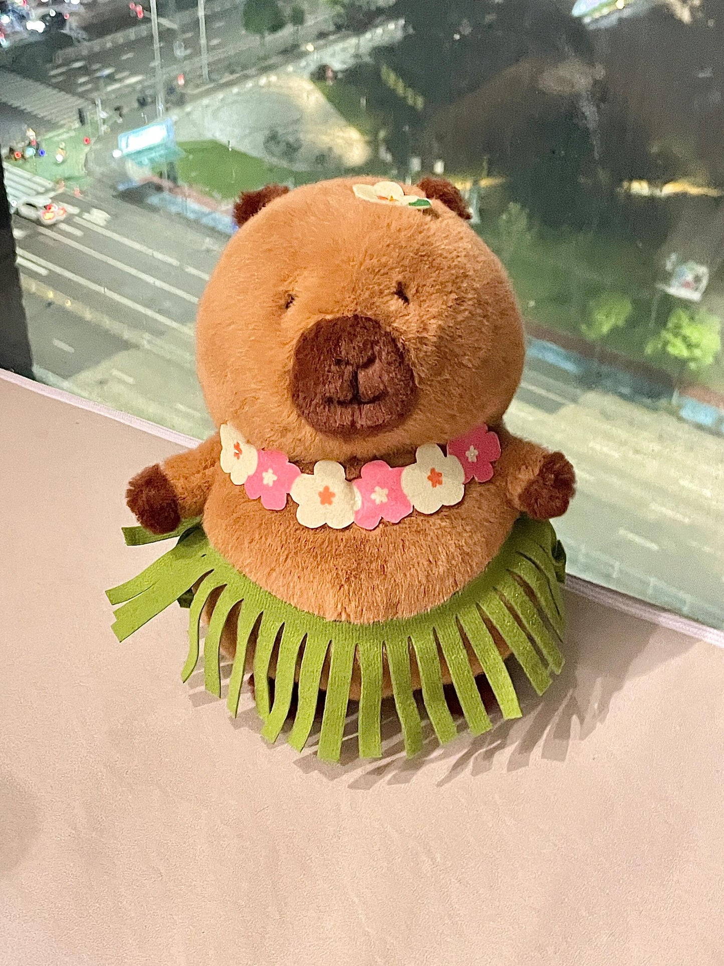 Capybara at the sea๐๐ด