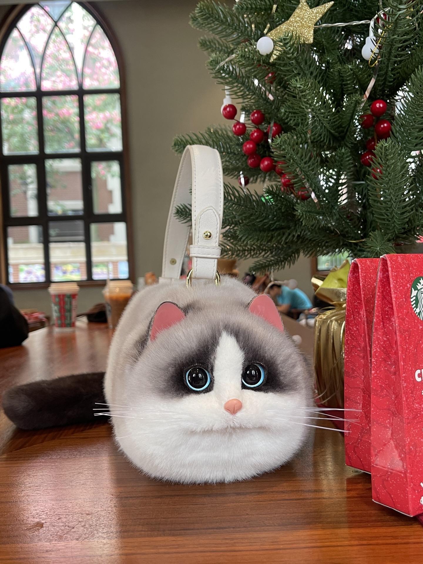 Realistic cat bagπββ¬ππ±π»πΉπ½