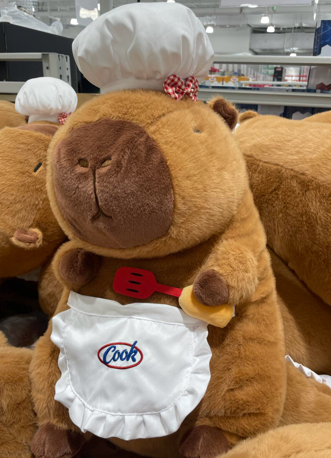Capybara Chef🧑🏻🍳