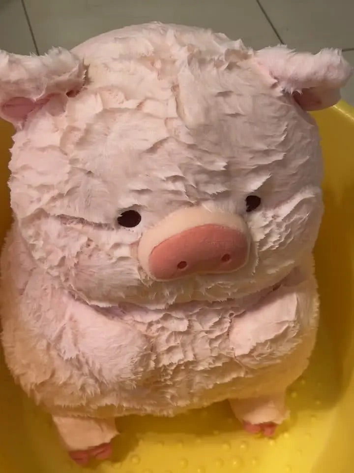 Pig π·π½π