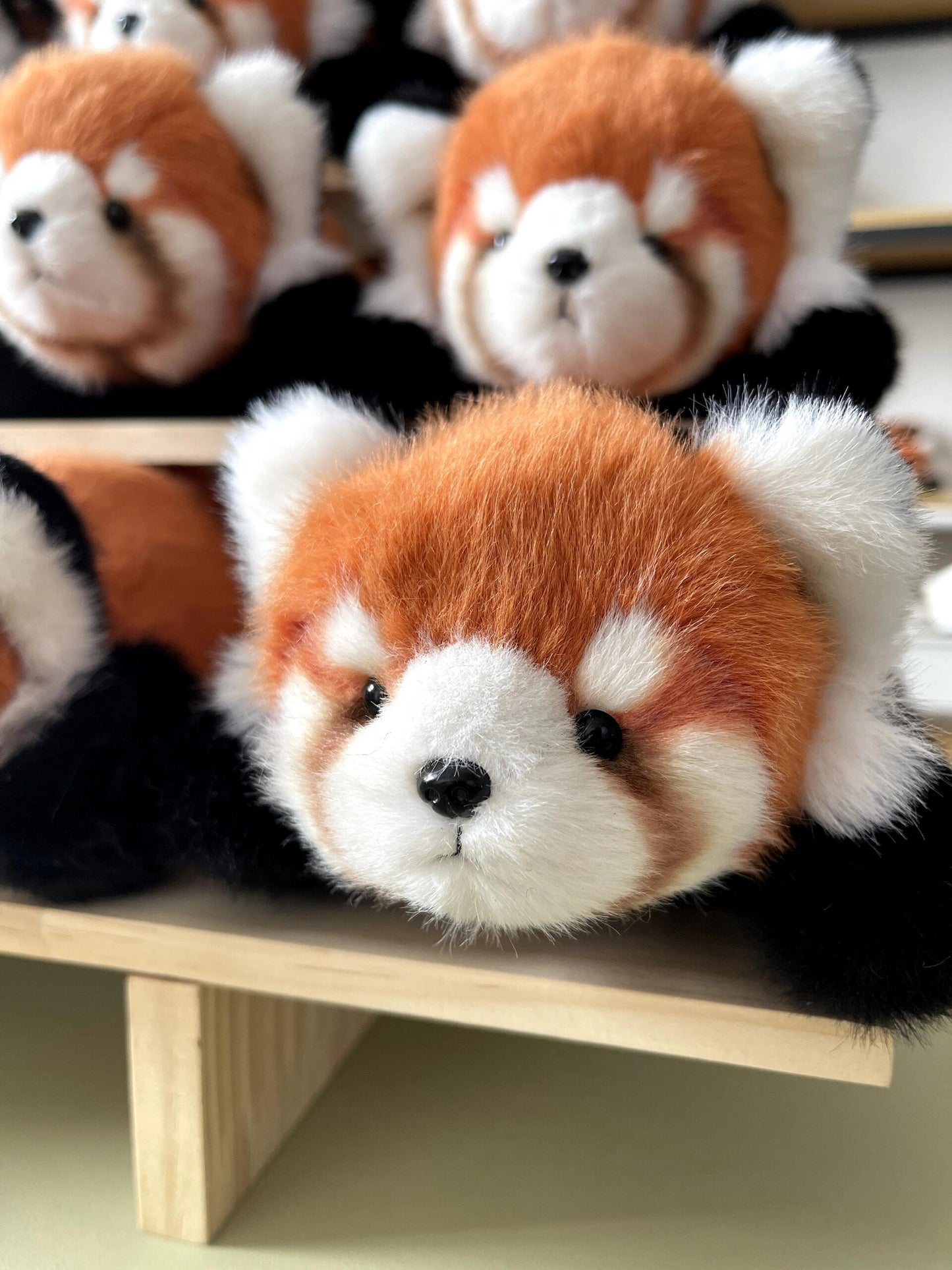 Red panda