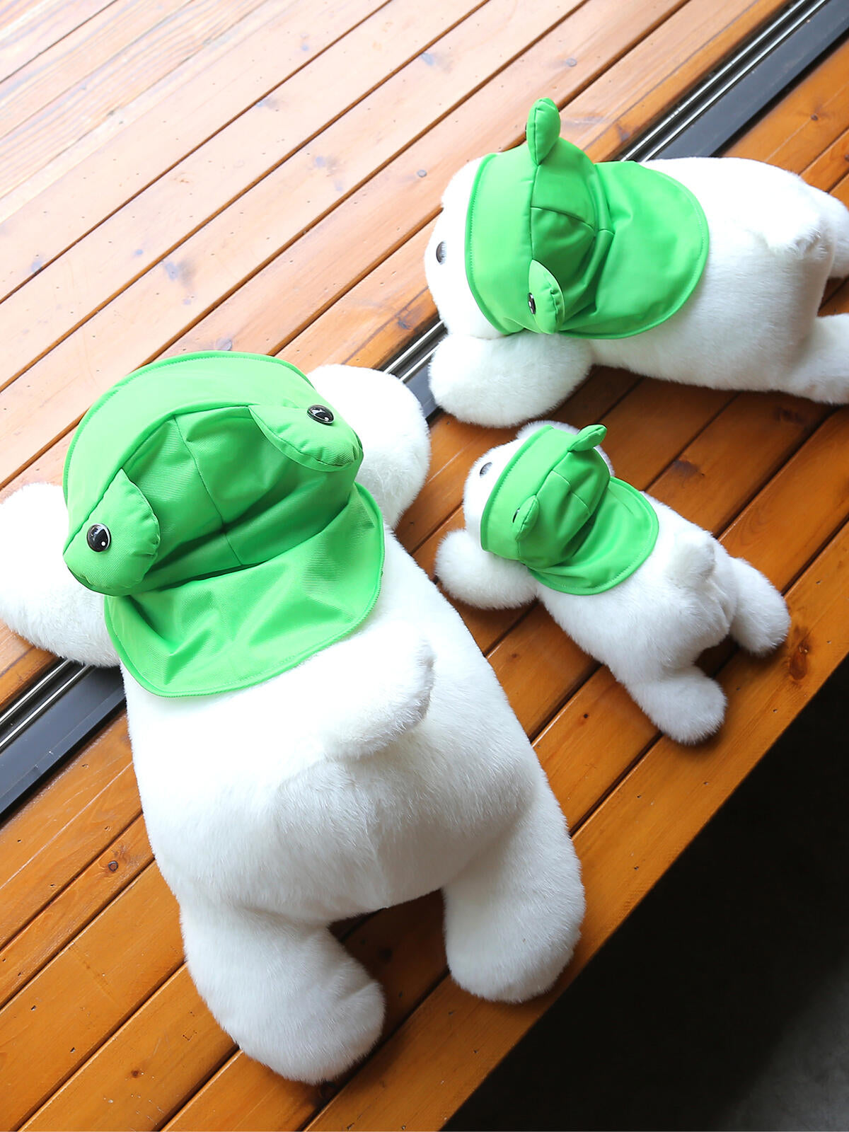 Dog ๐ถ๐ธ