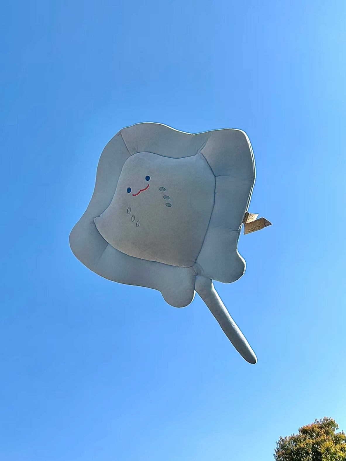 Stingray 🩵🩷