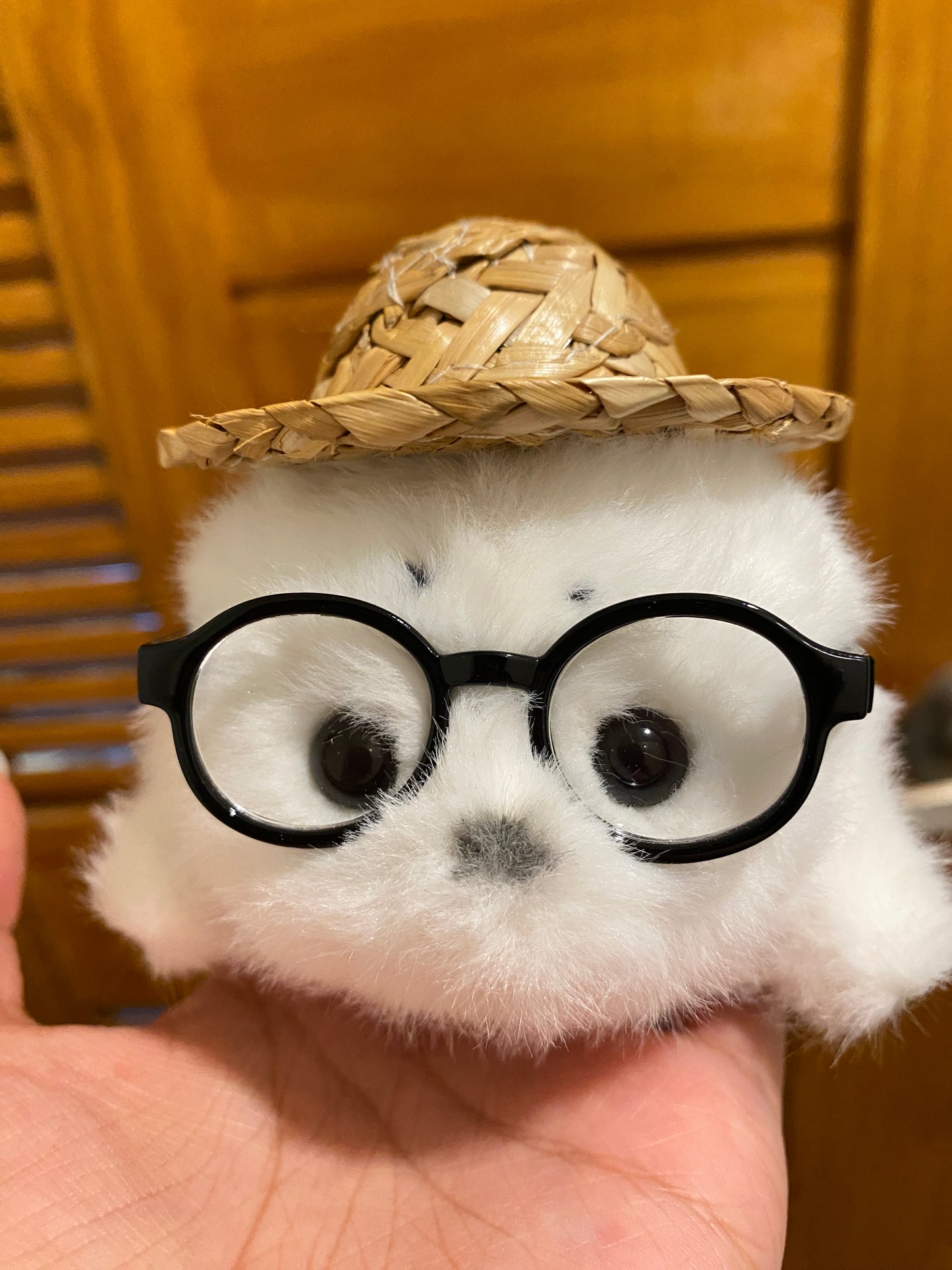 Mini seals 🦭🩶🤍