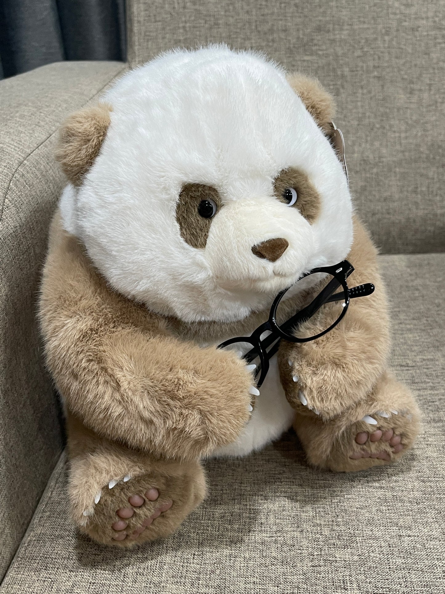 🤎Brown panda 🐼