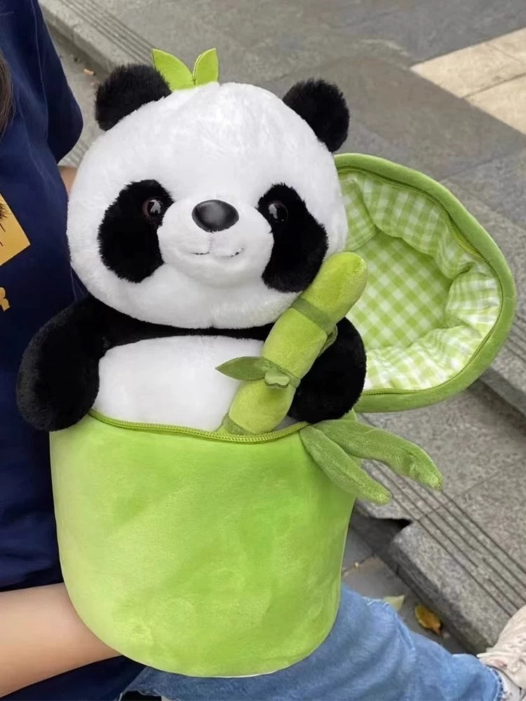 Panda in the bamboo tree๐๐ผ