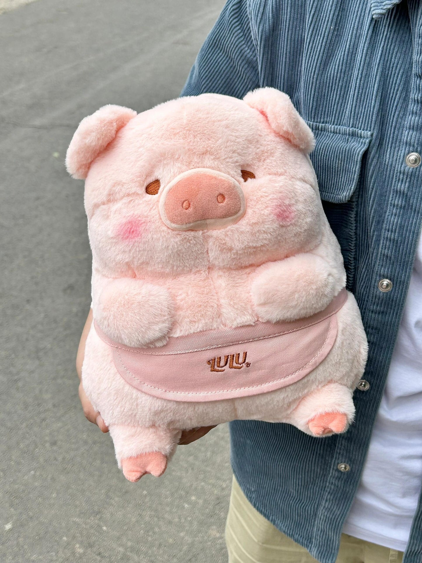 Pig π·π½π