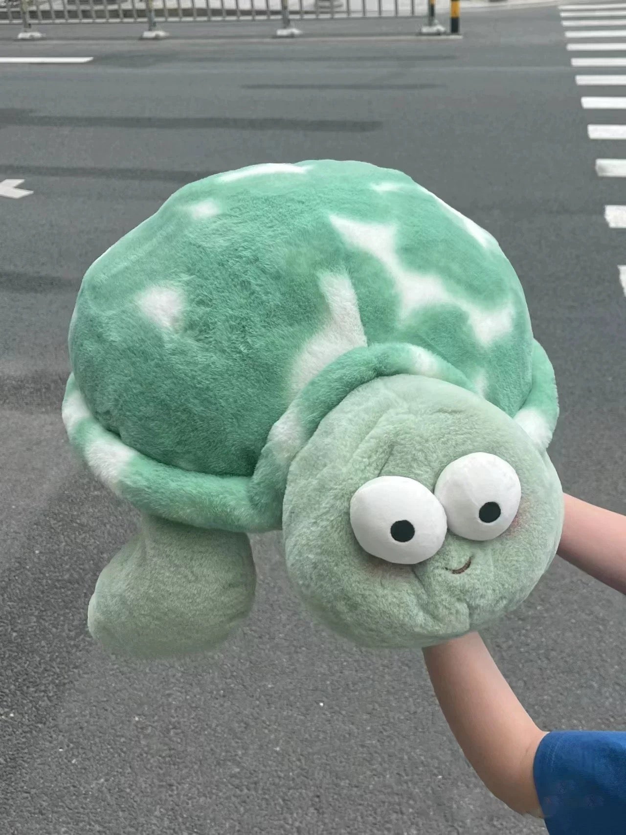 Turtle ๐ข