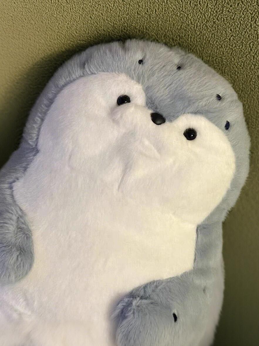 Seal π¦π©΅π€π€