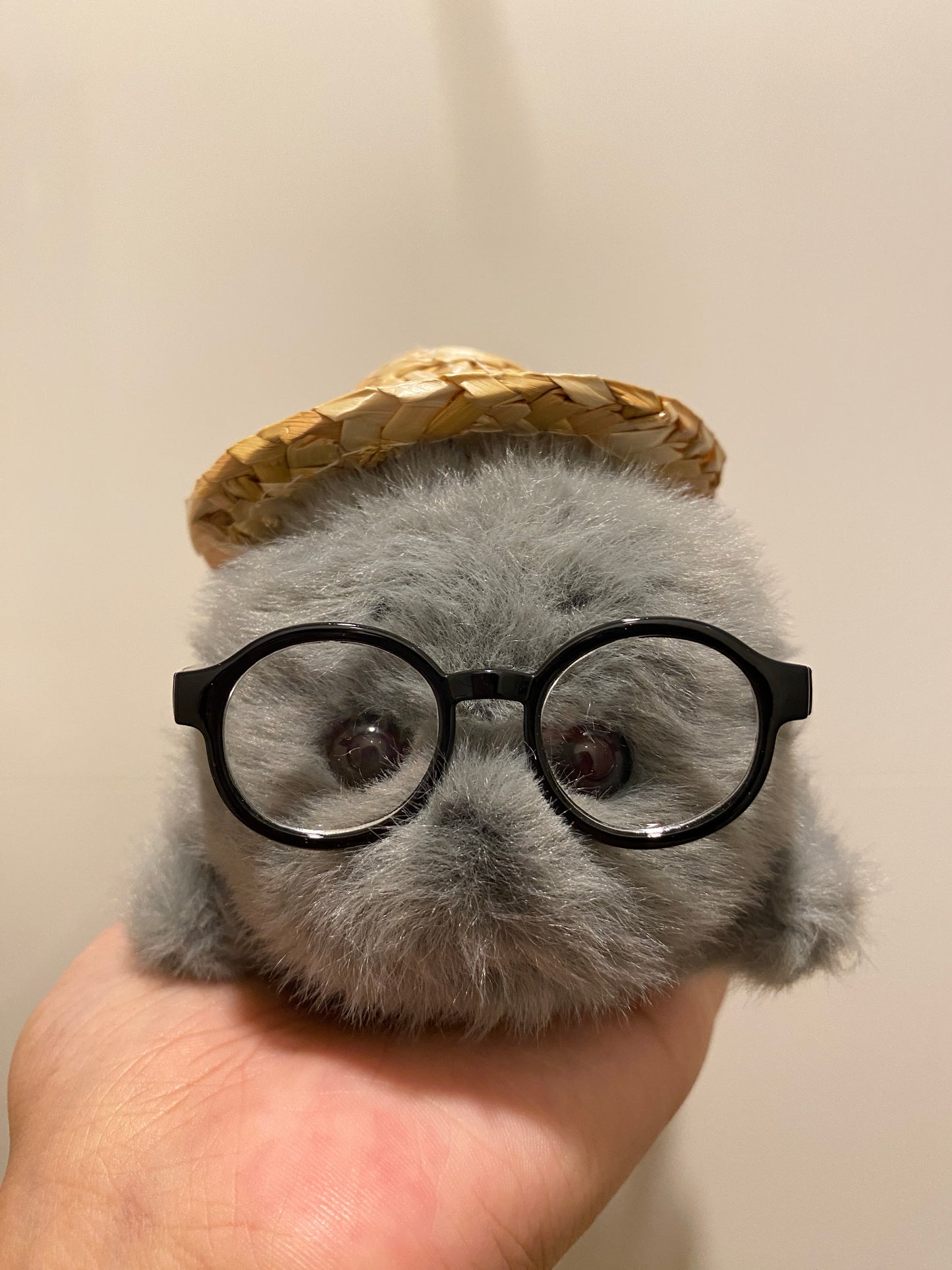 Mini seals 🦭🩶🤍