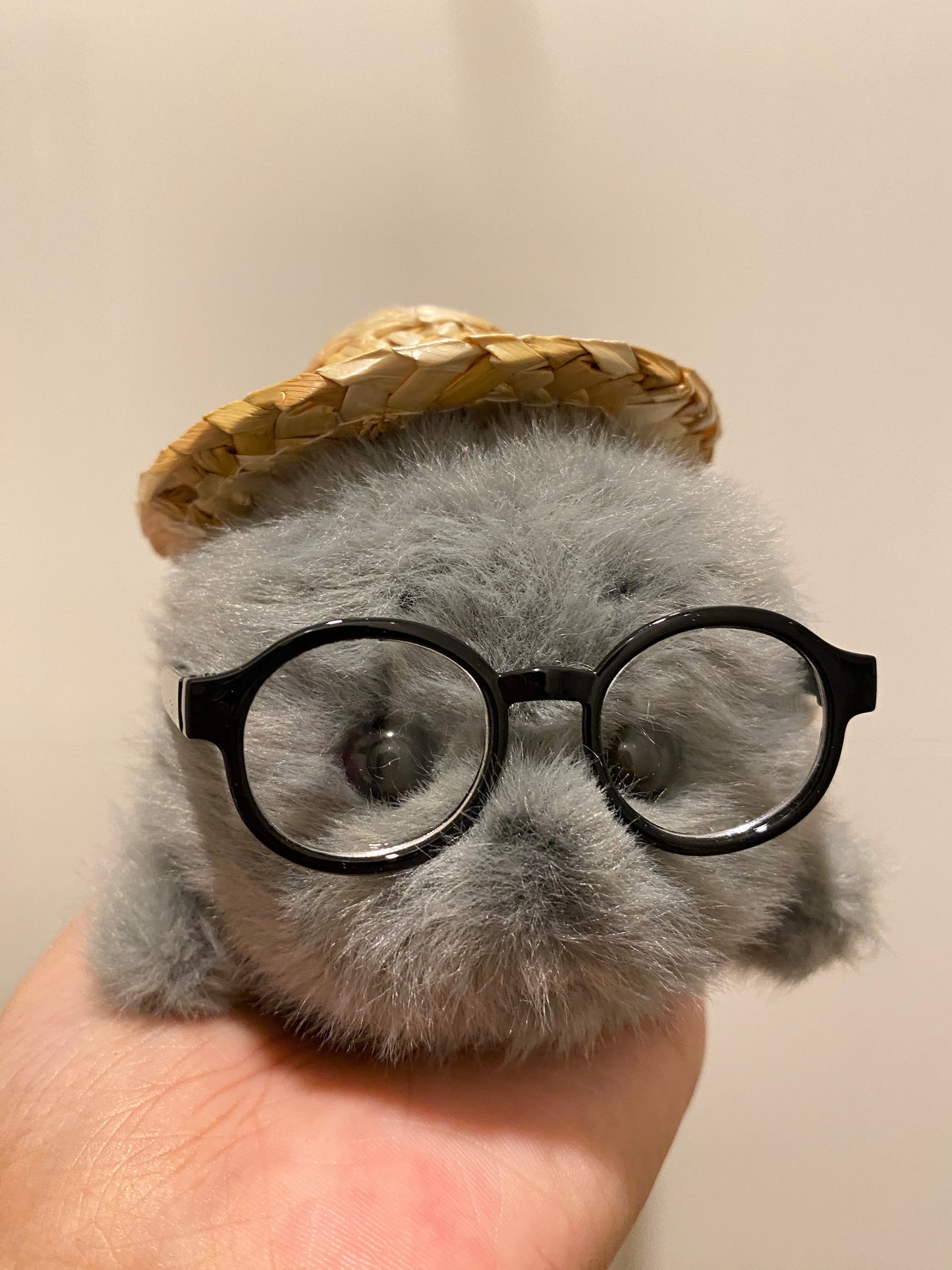 Mini seals 🦭🩶🤍