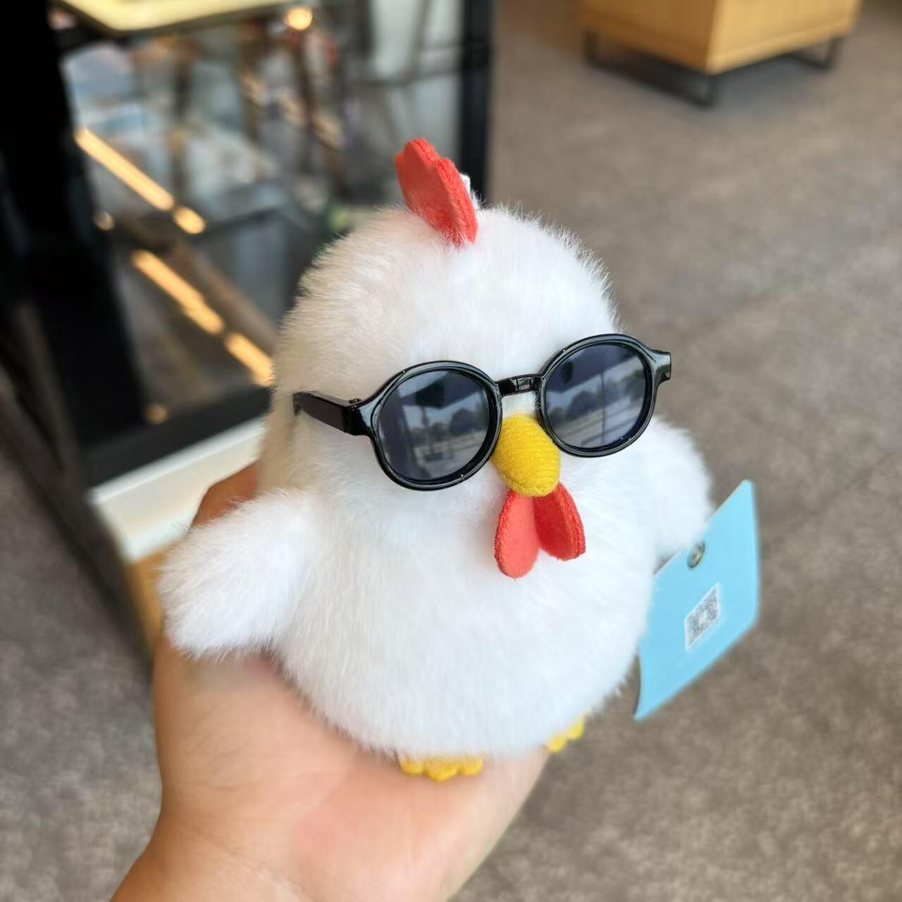 Chicken with glasses🐓🪹😎