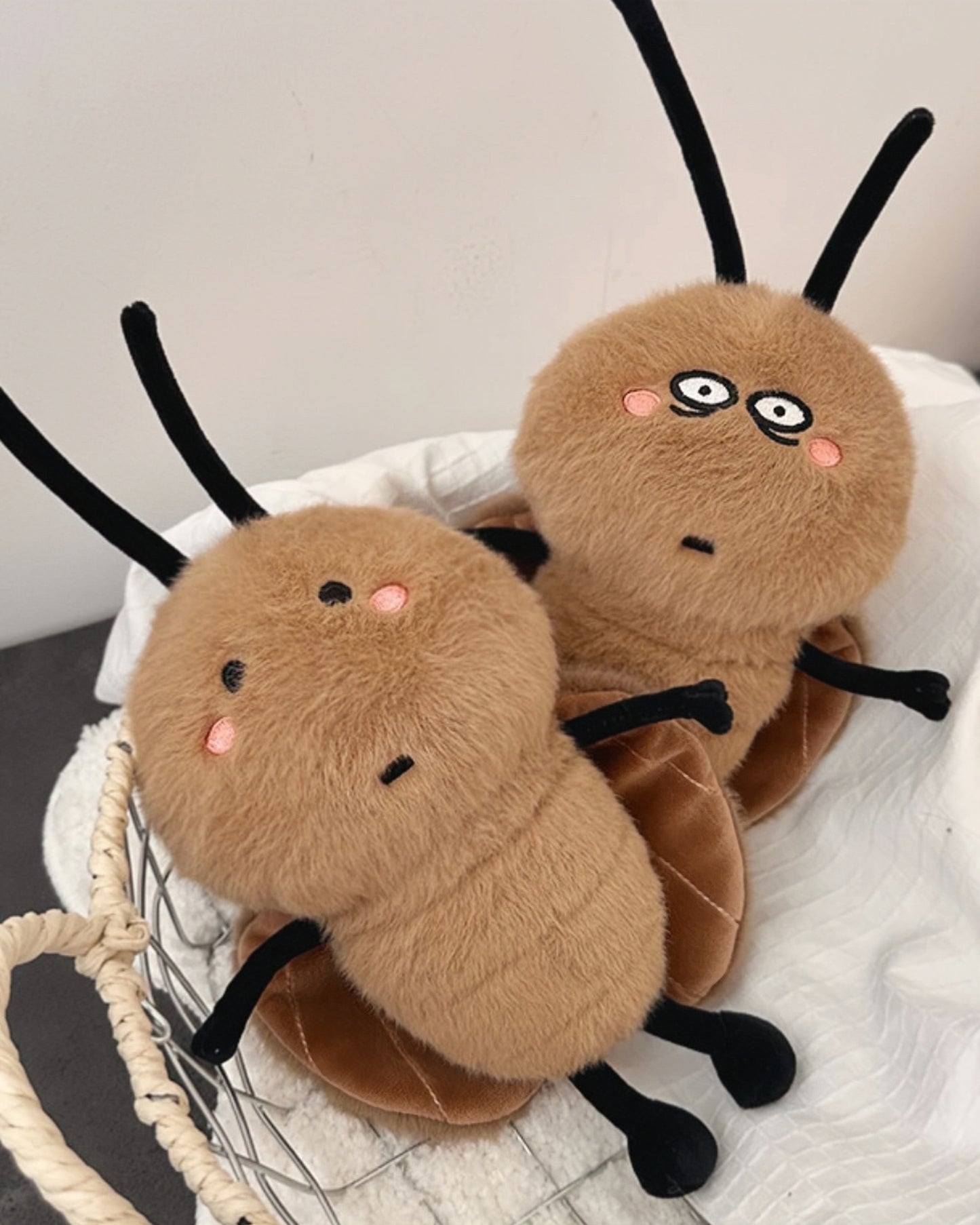 Cockroach 🪳🪳🪳