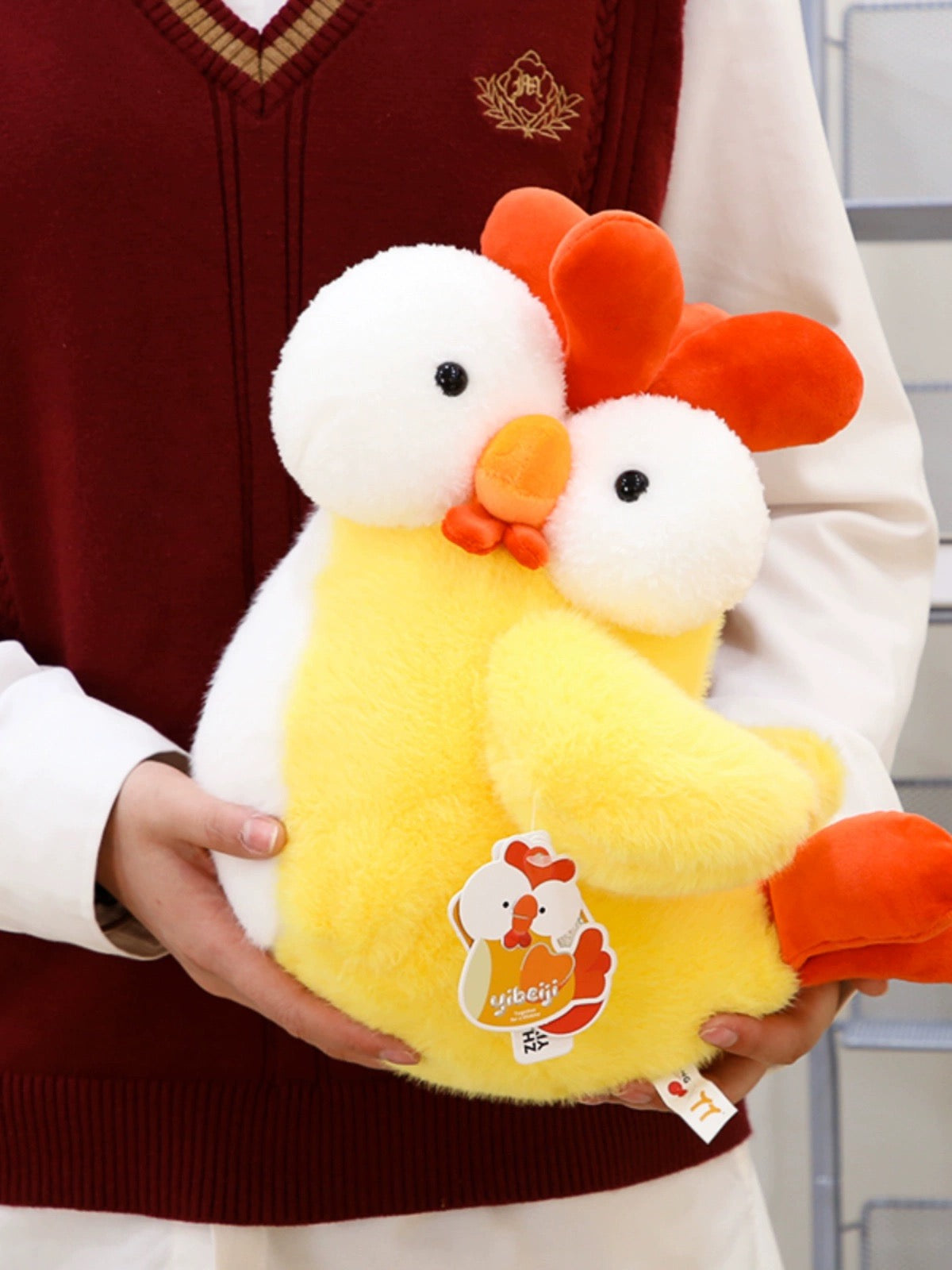 Chicken π₯π