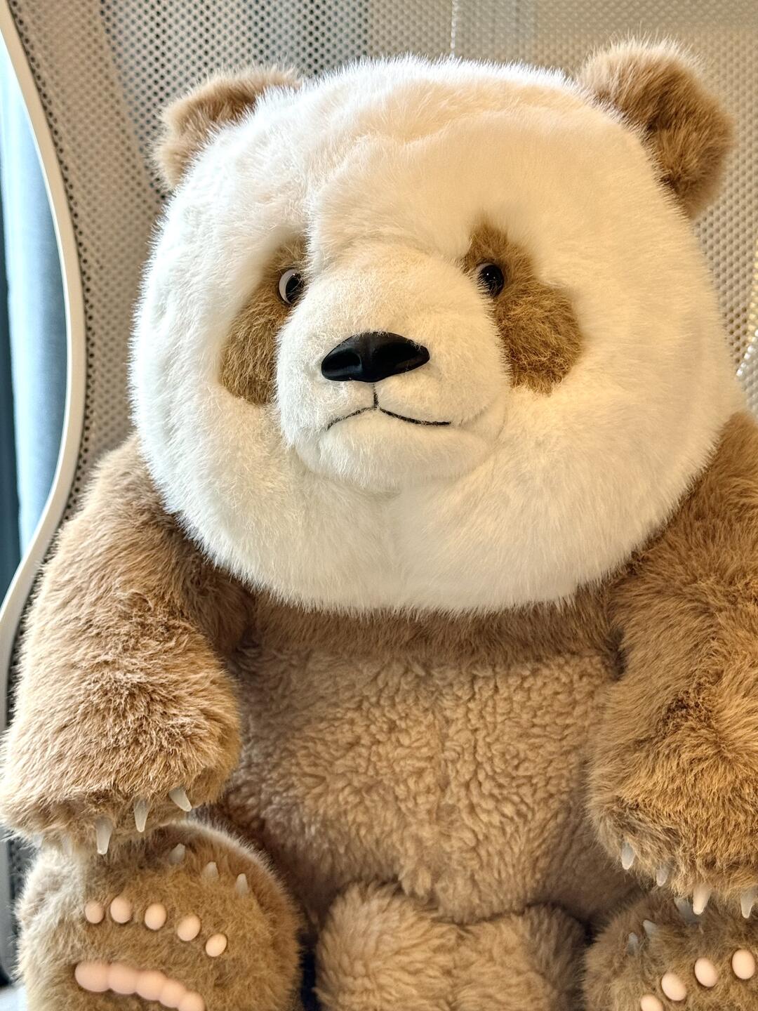 Brown panda🐻❄️🐻