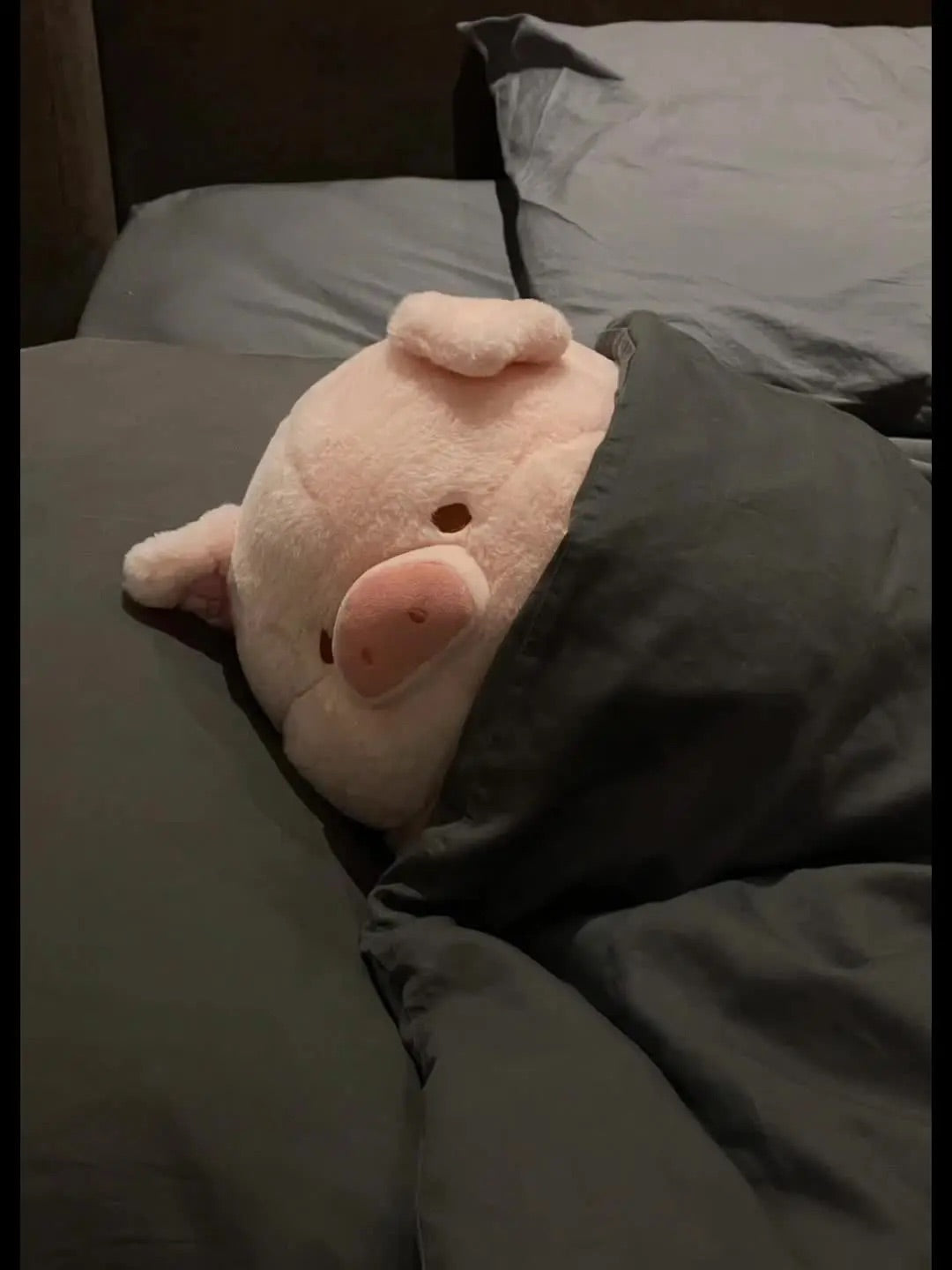 Pig π·π½π