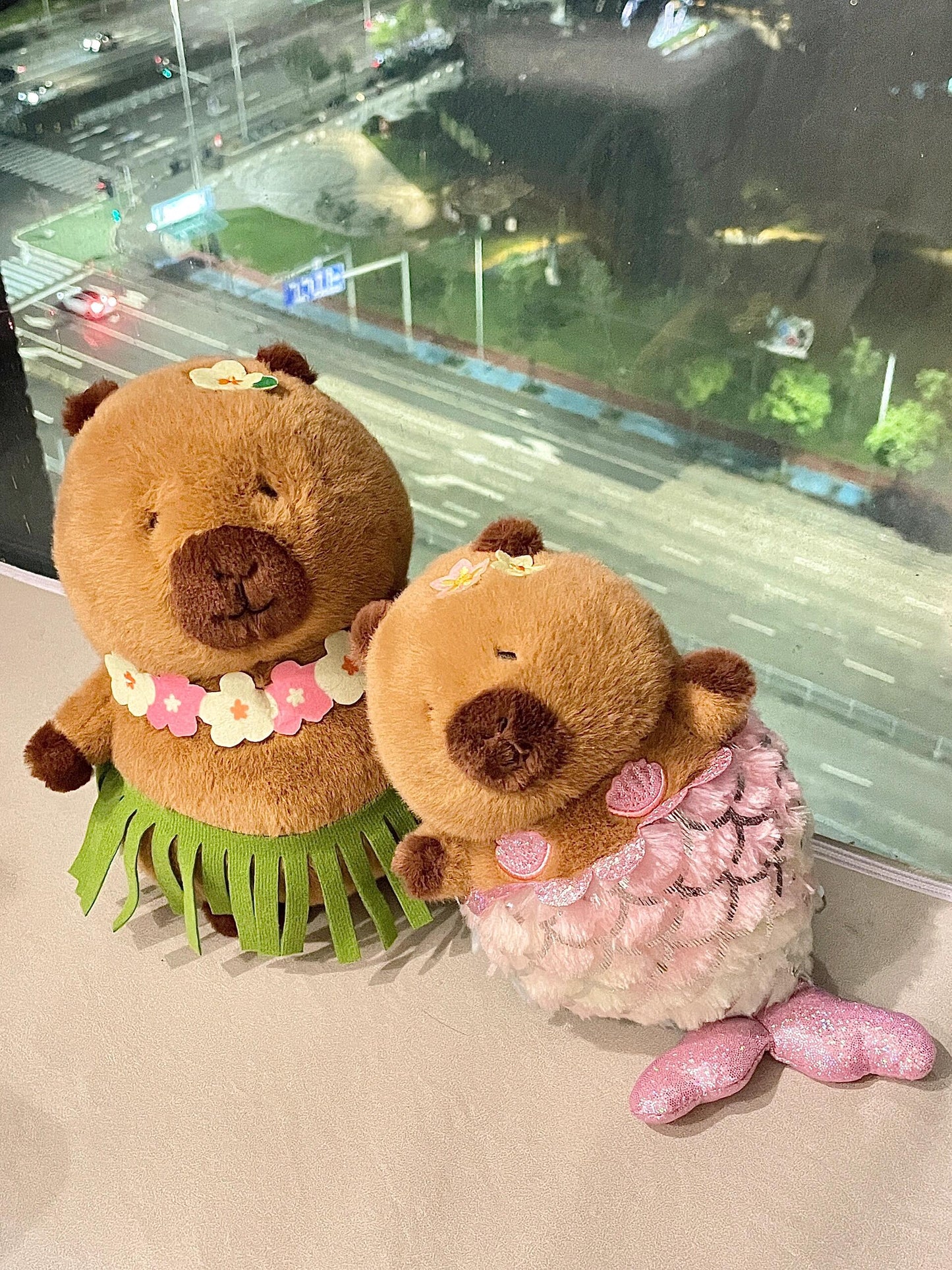 Capybara at the sea๐๐ด