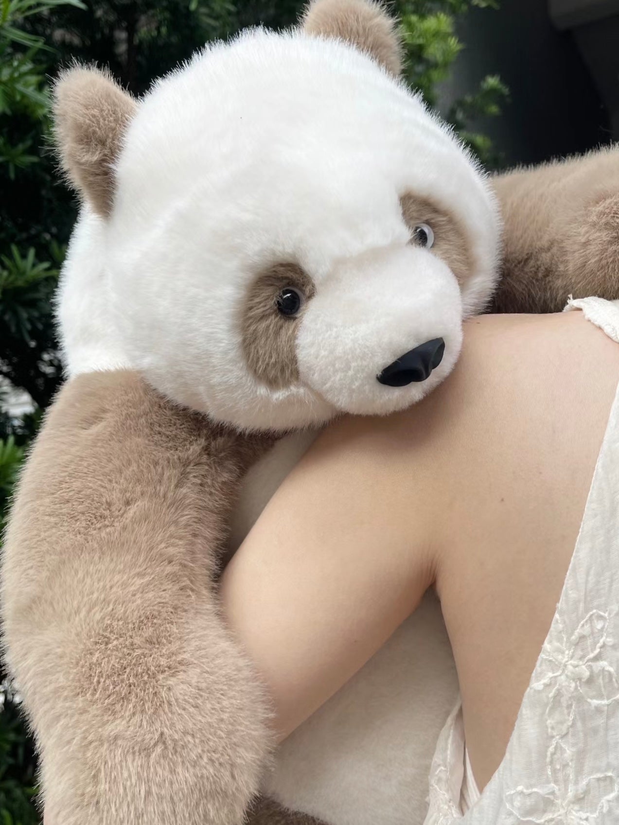 Brown panda π€