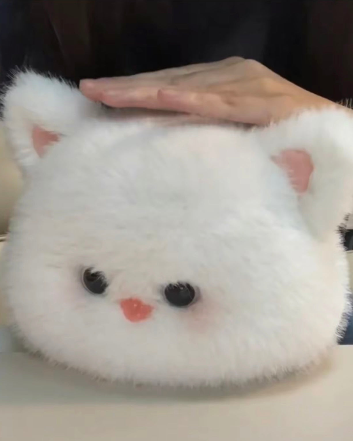 Soft teddy bear🐻❄️