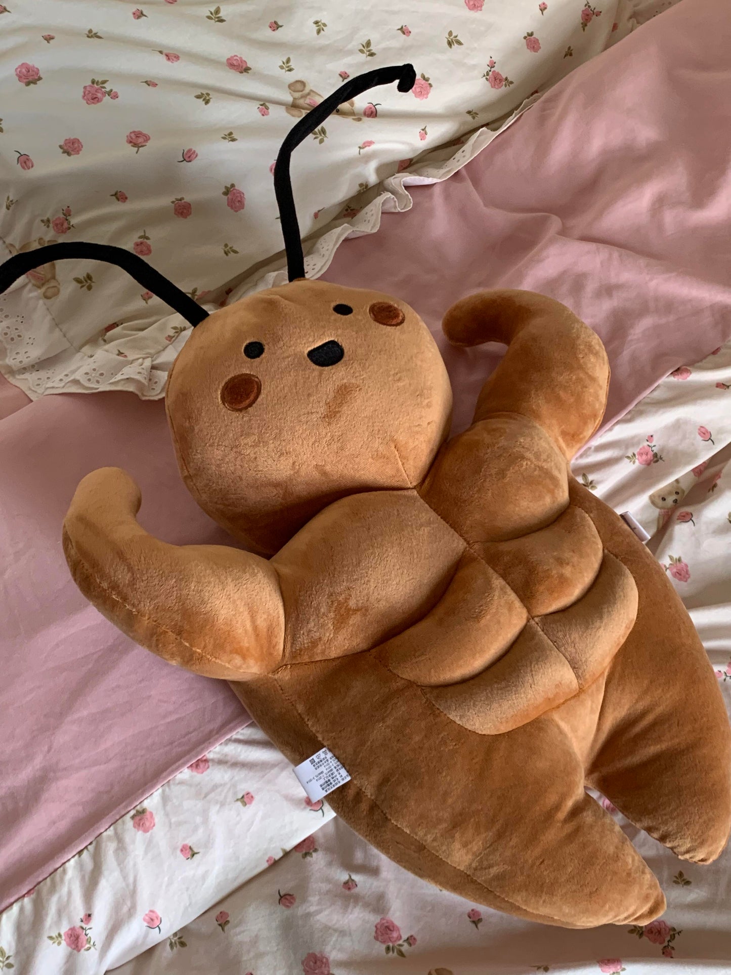 Cockroach Muscle Man💪🏼🪳