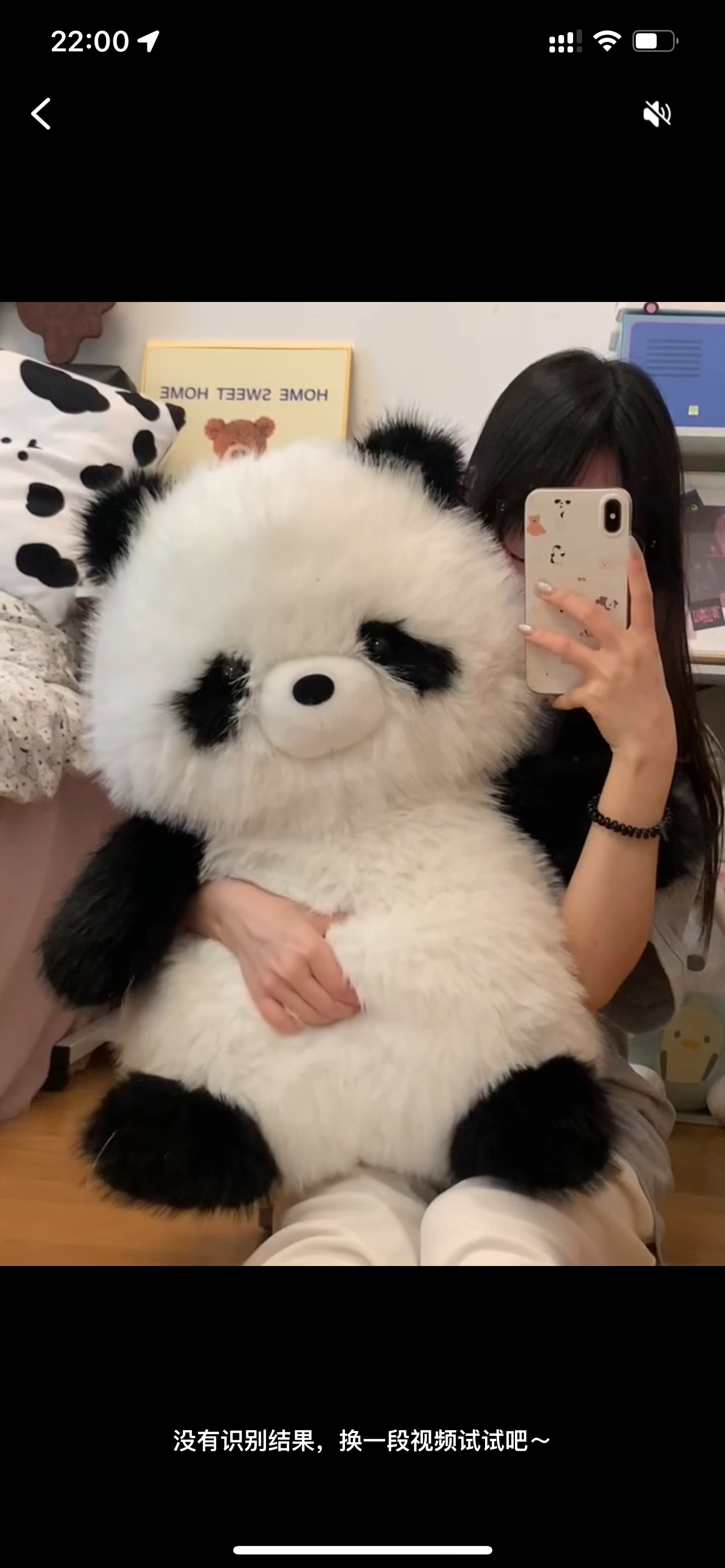 Panda πΌπ