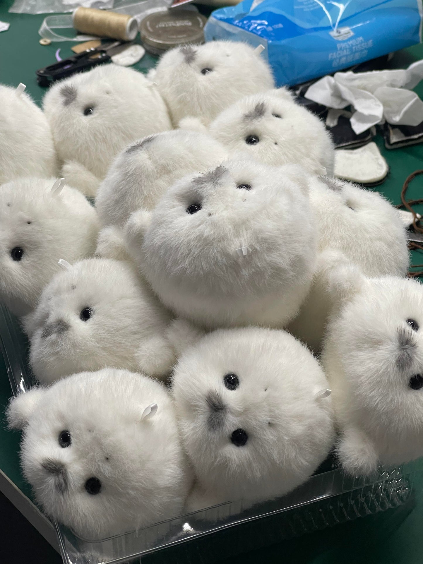 Mini seals v2🦭