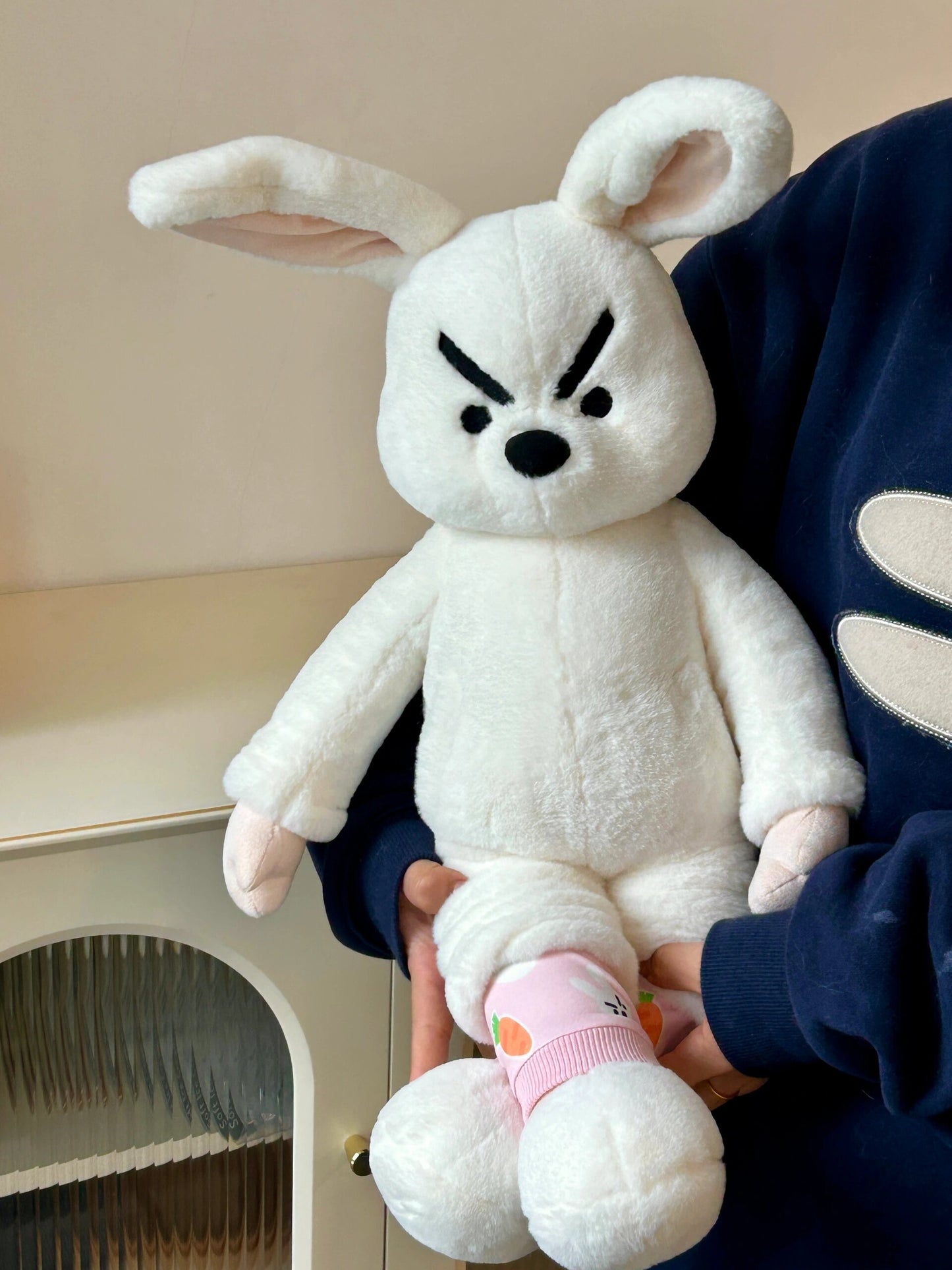 Angry rabbit🐰😡