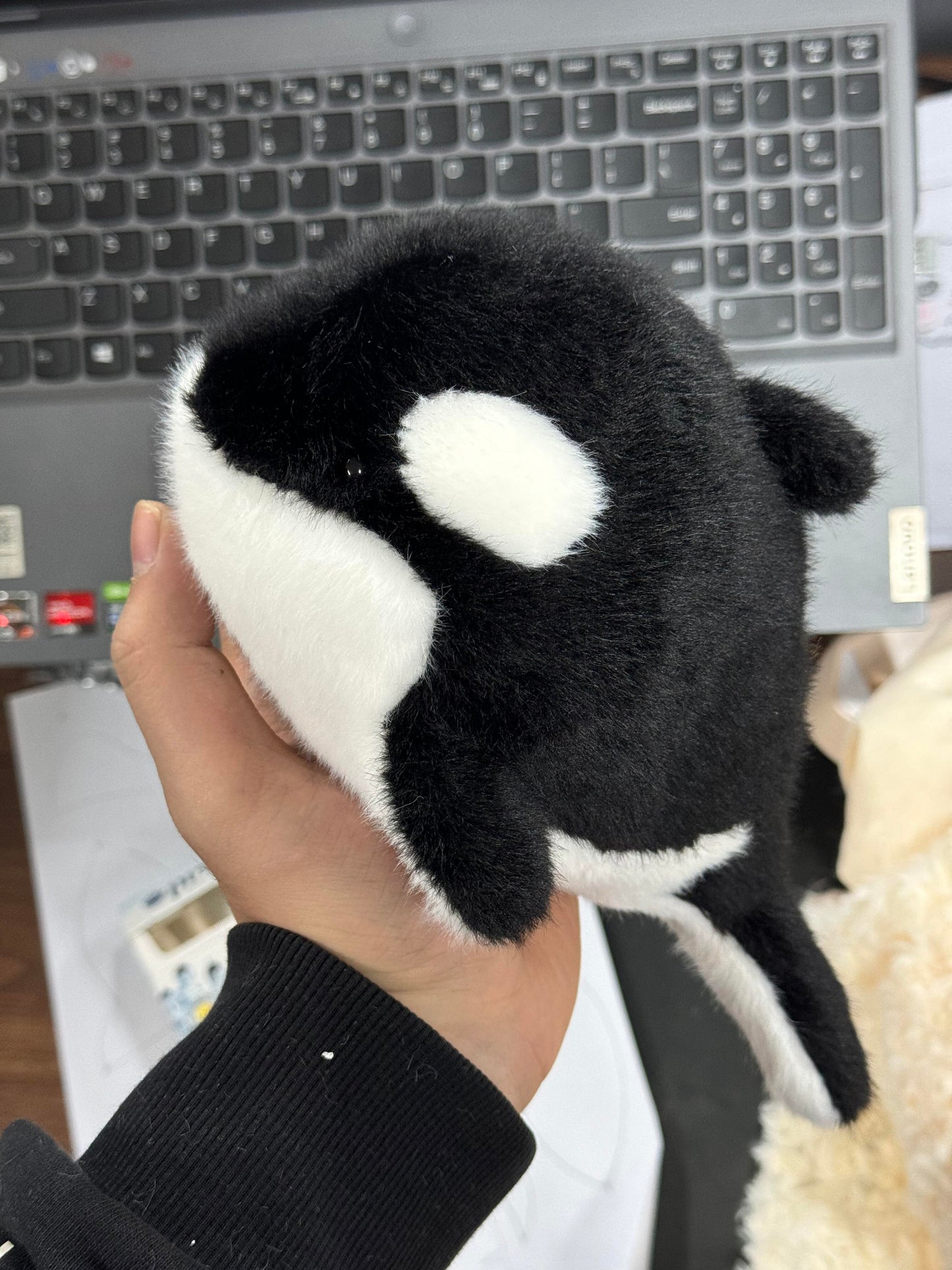 Orca