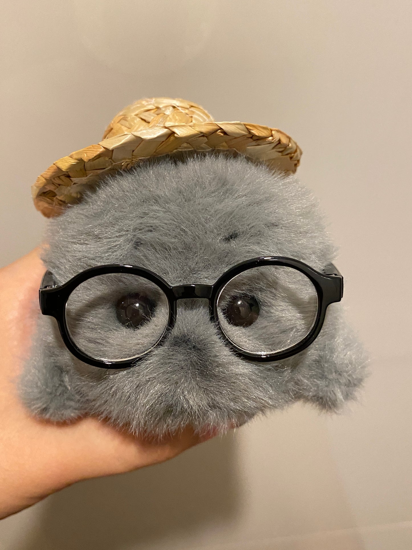 Mini seals 🦭🩶🤍