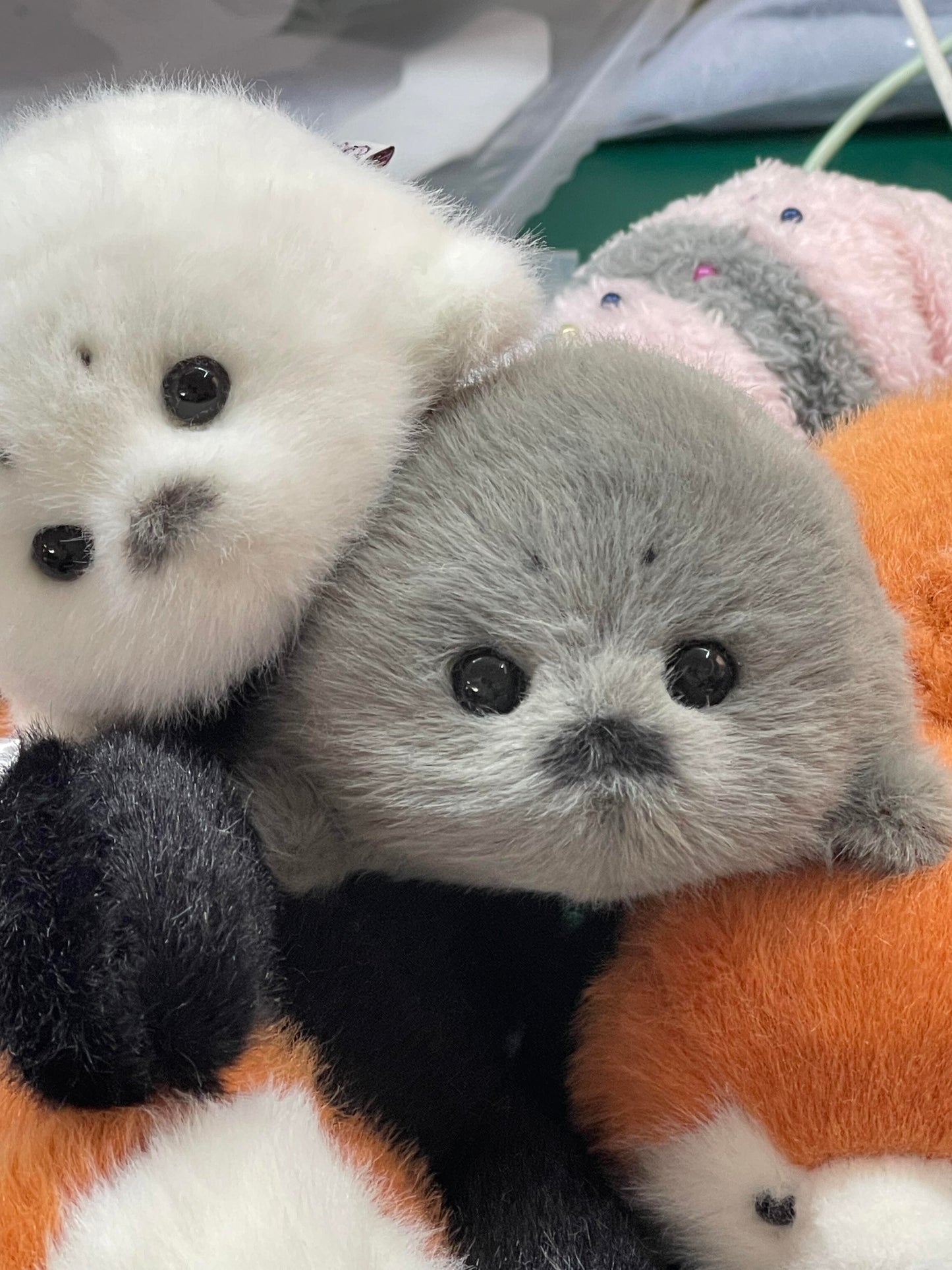 Mini seals 🦭🩶🤍
