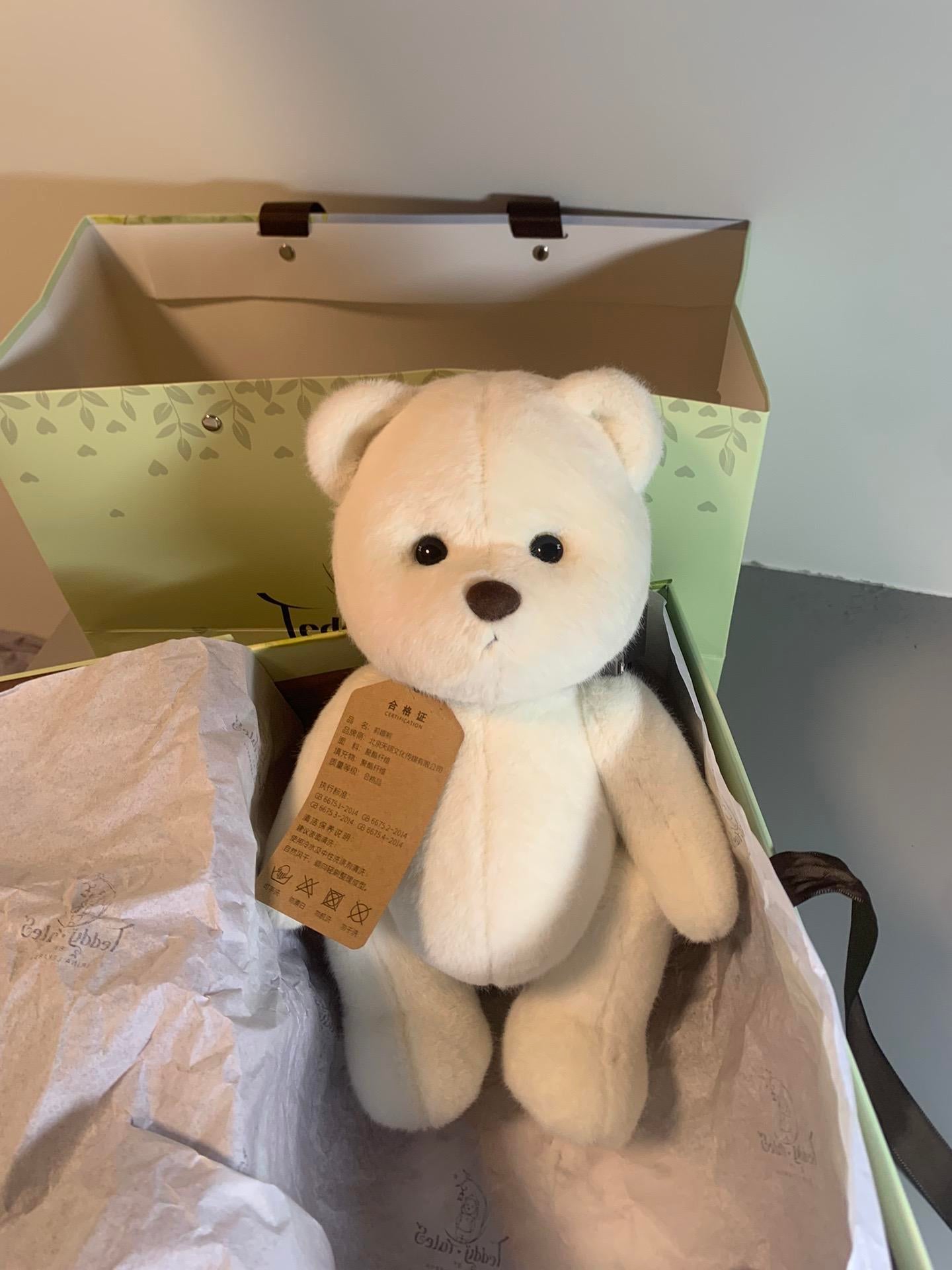 🧸⭐️TeddyTales🐻❄️💖