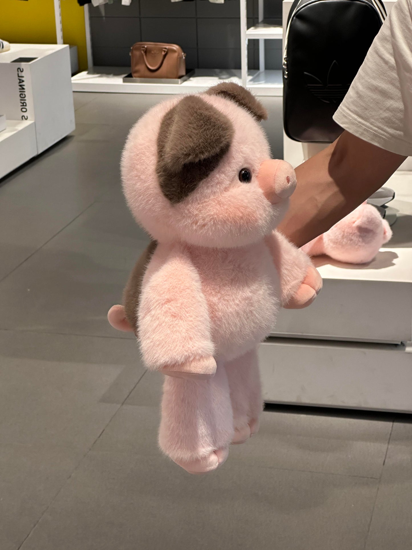 🐷🐽Pigpy 🐷