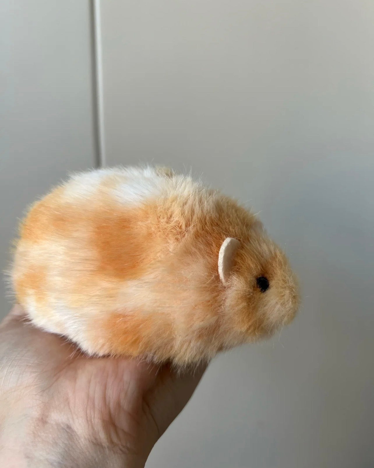 Hamster 🐹🐭