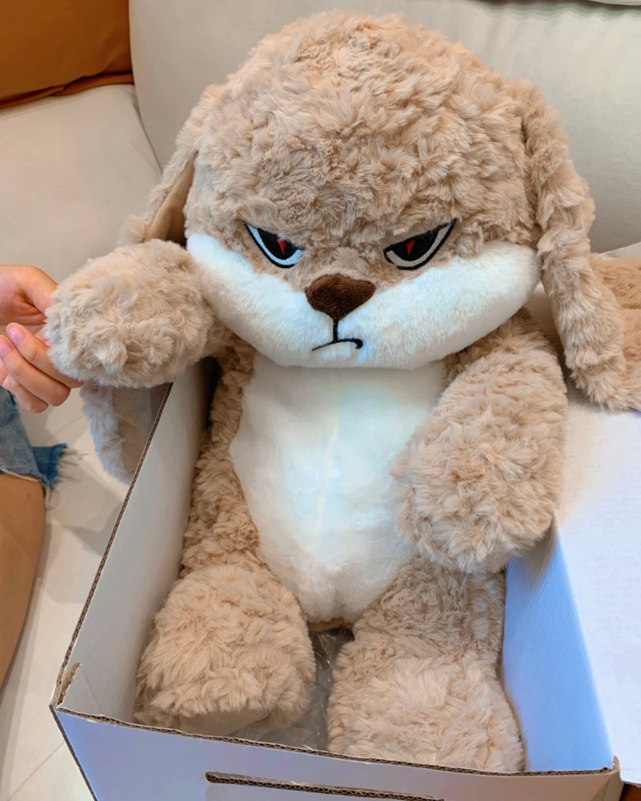 Angry Rabbit π°
