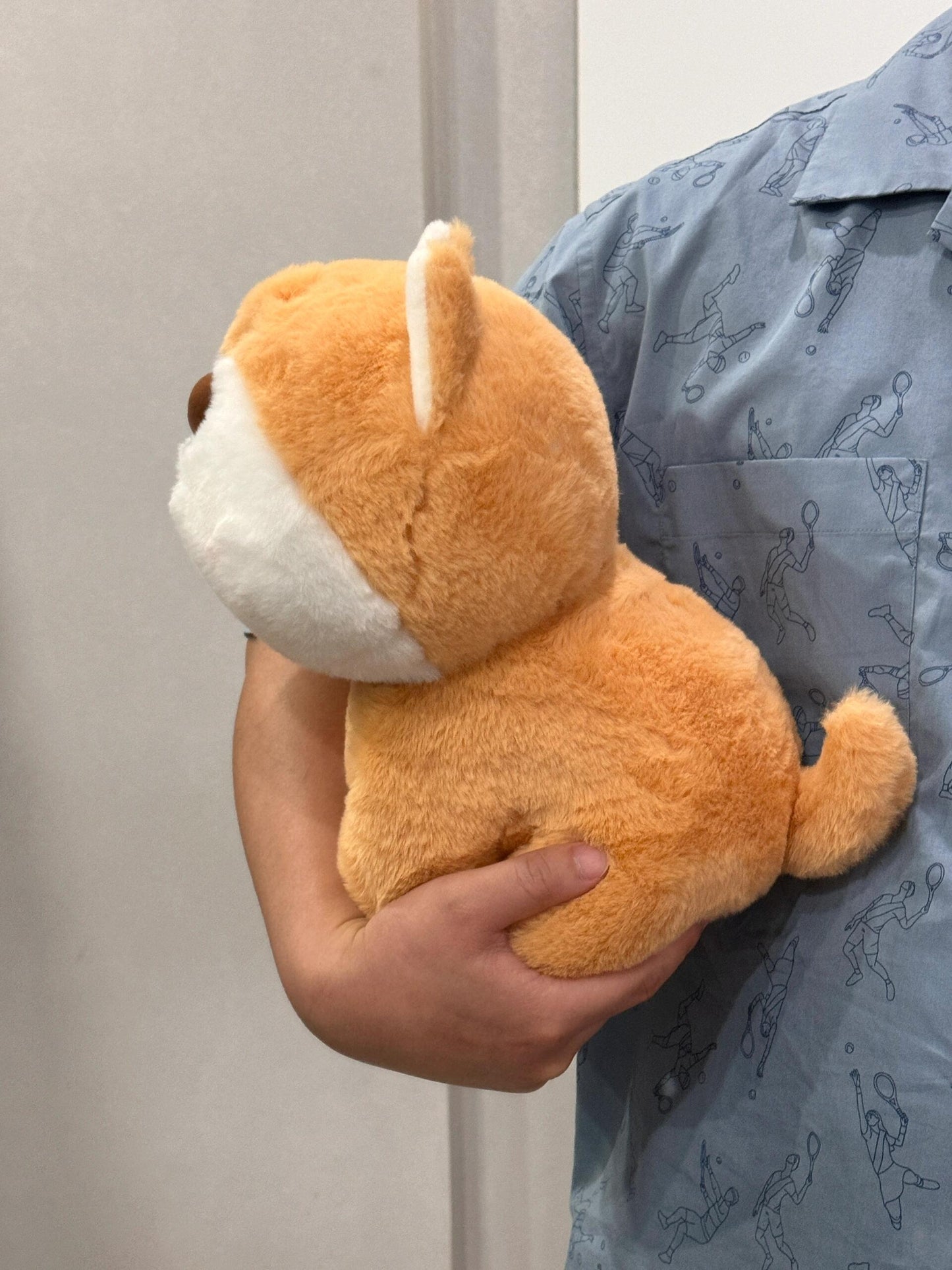 Shiba🧡