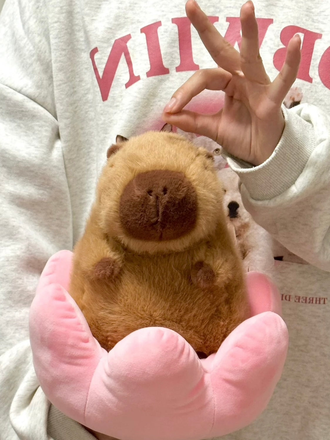 Capybara sitting on a lotus flower🪷