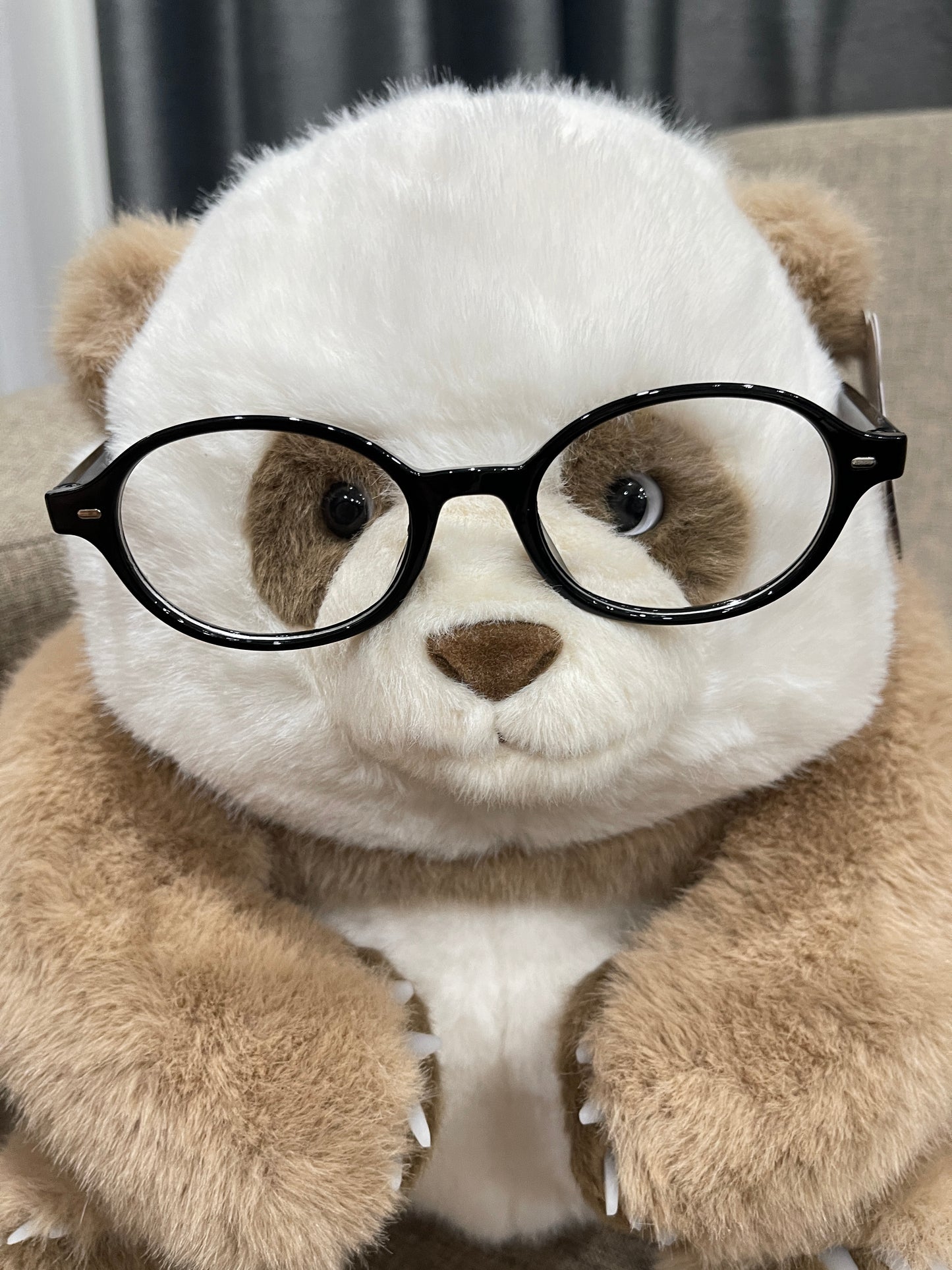 🤎Brown panda 🐼
