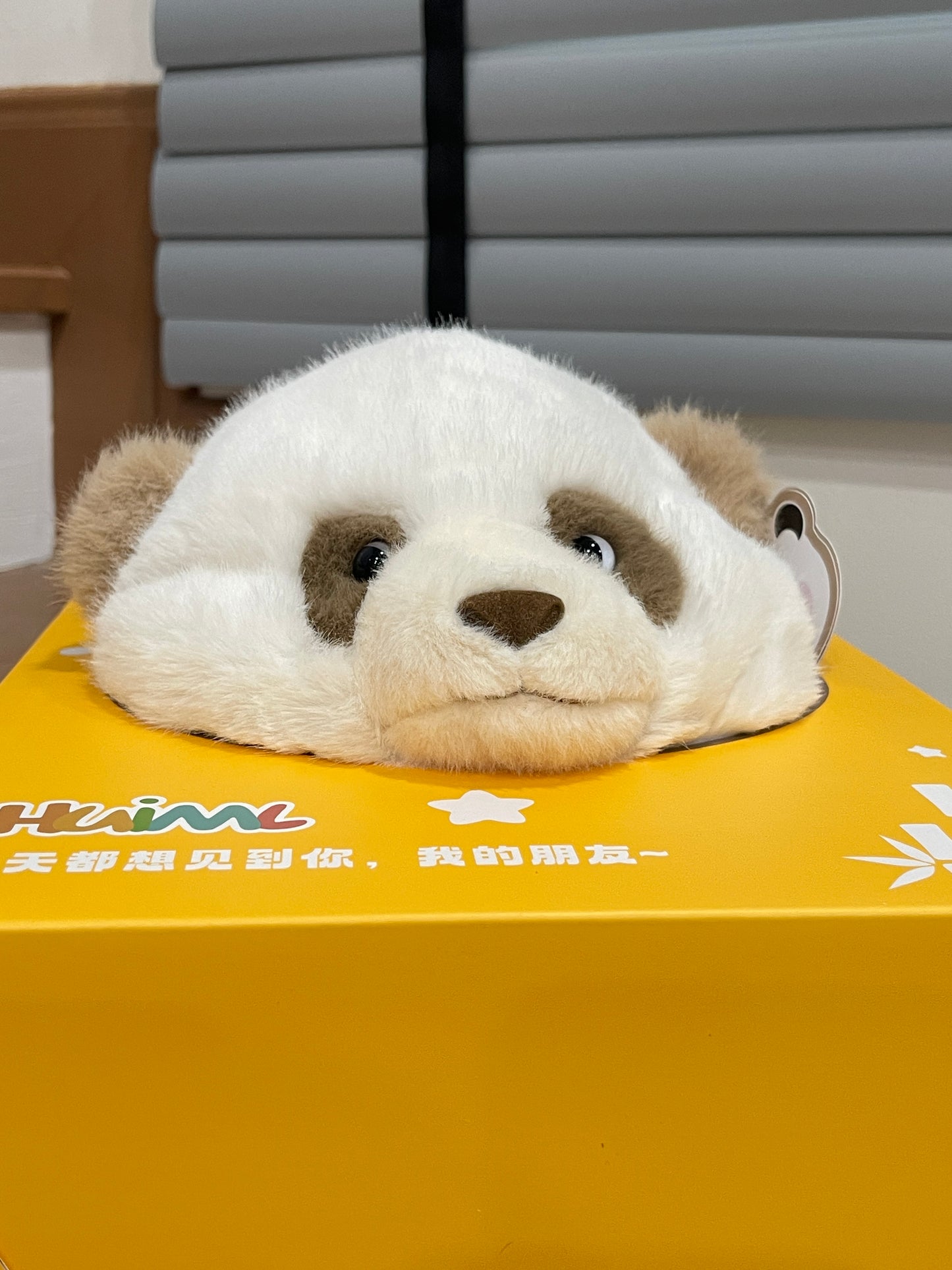🤎Brown panda 🐼