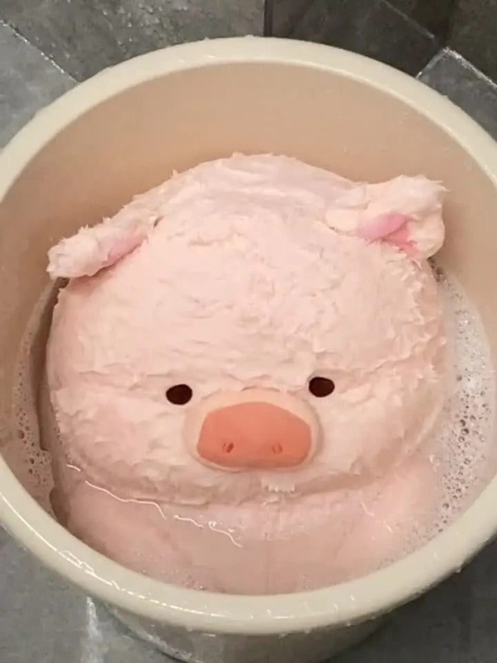 Pig π·π½π