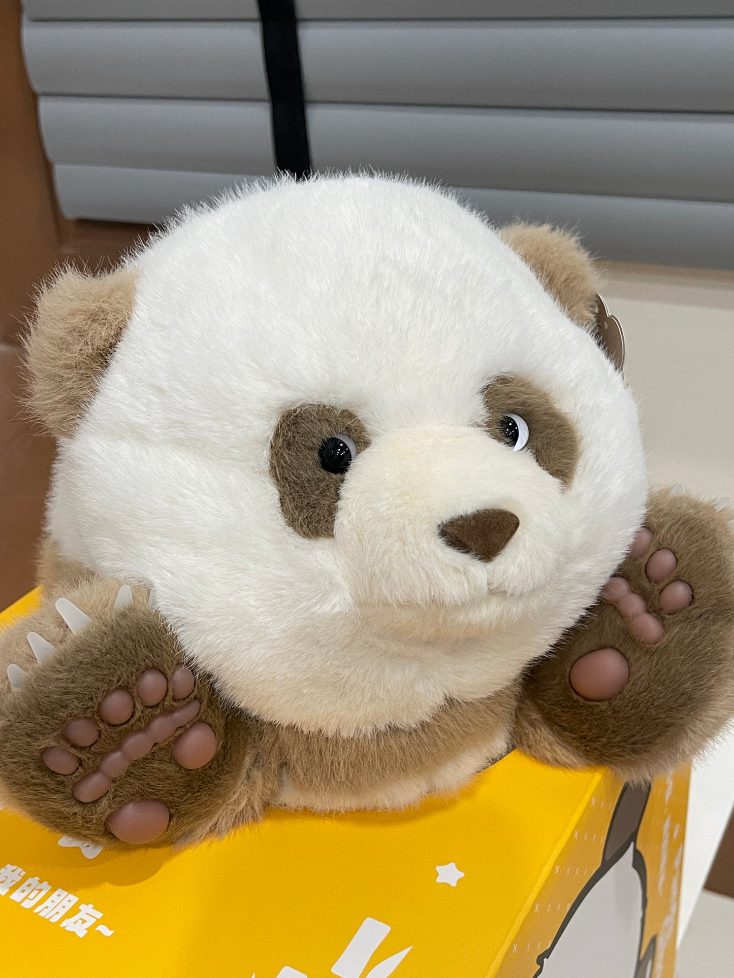 🤎Brown panda 🐼