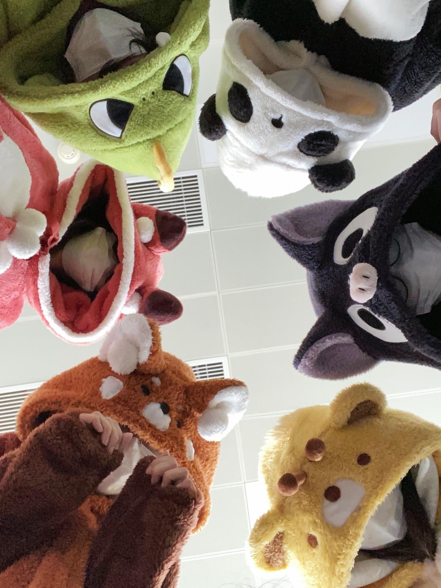 🦖Collection of cute animal sets🐼🦊