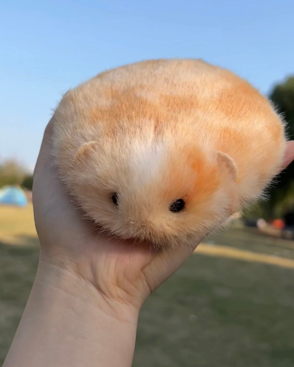 A super cute and irresistibly squishy handmade Mouse gift