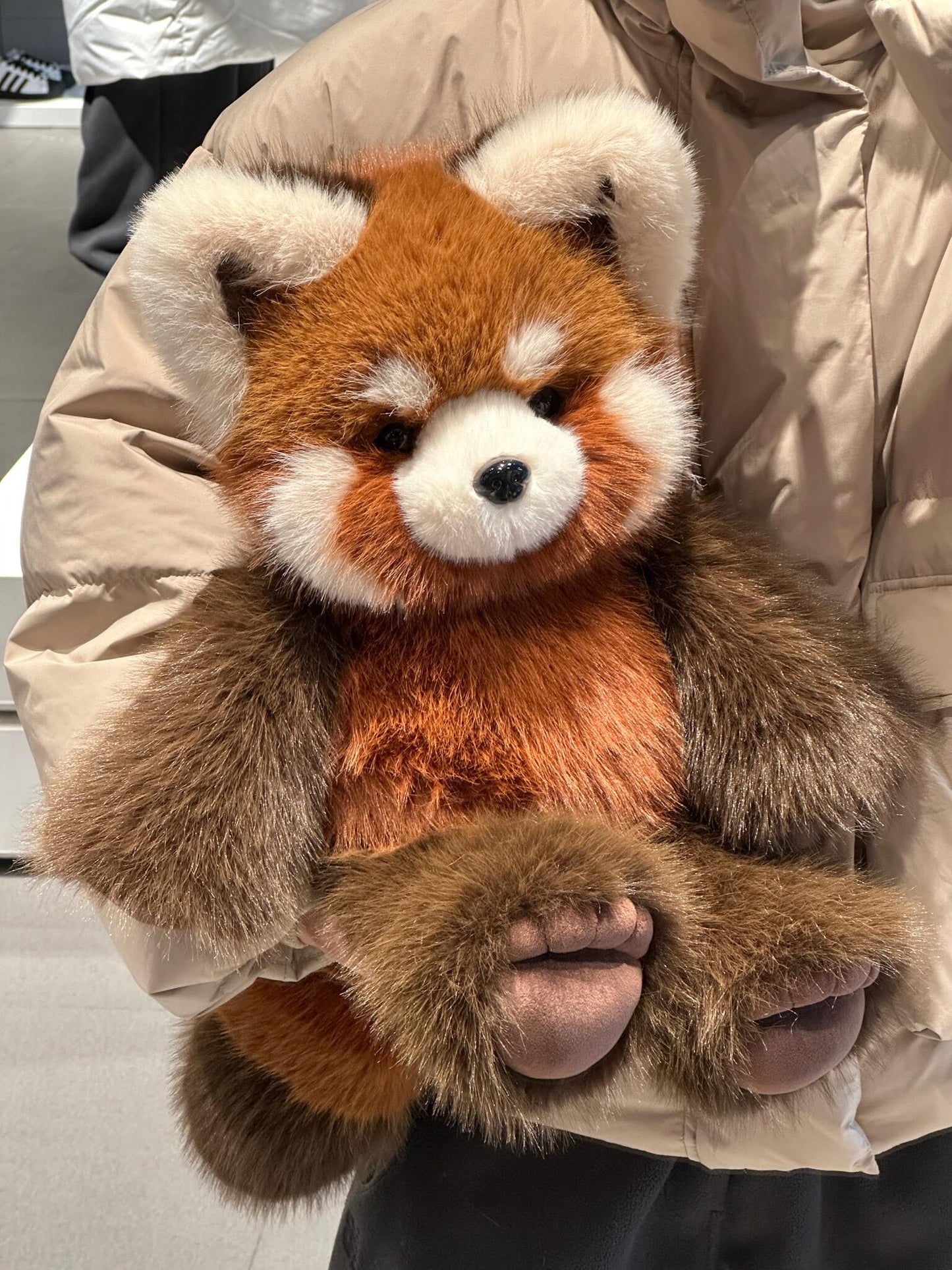[Pre-orders]  Red Panda Fluffy 🐼🤎