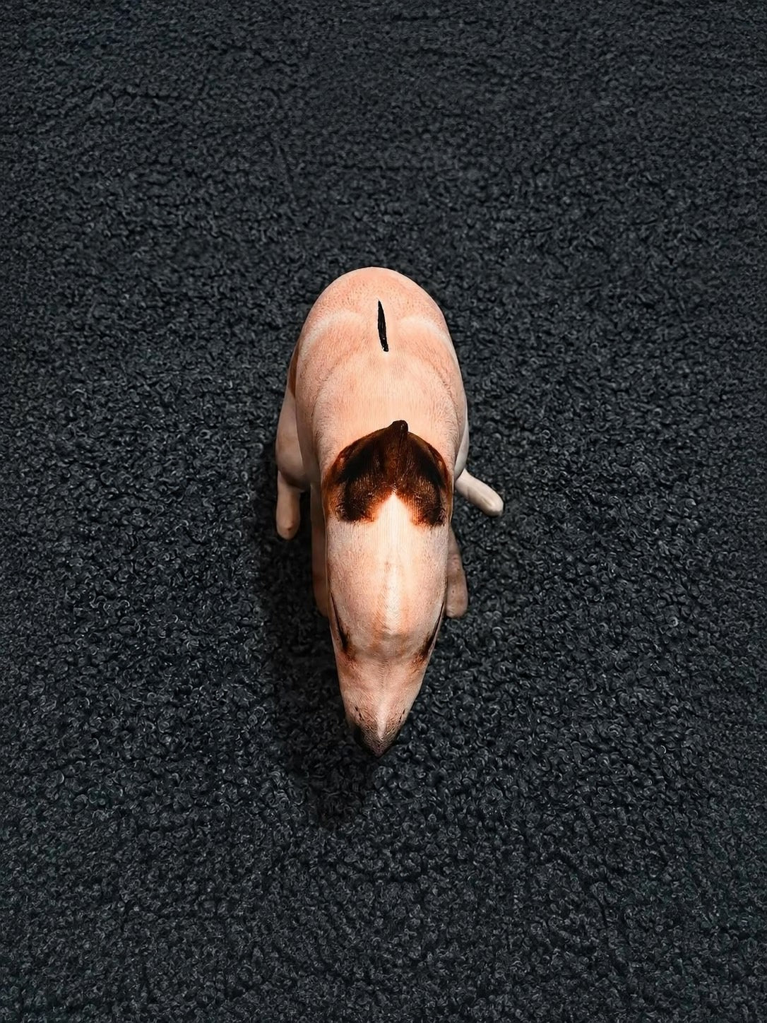 Dog 🐕