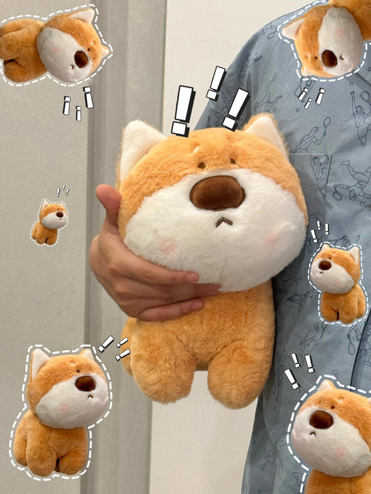 Shiba🧡