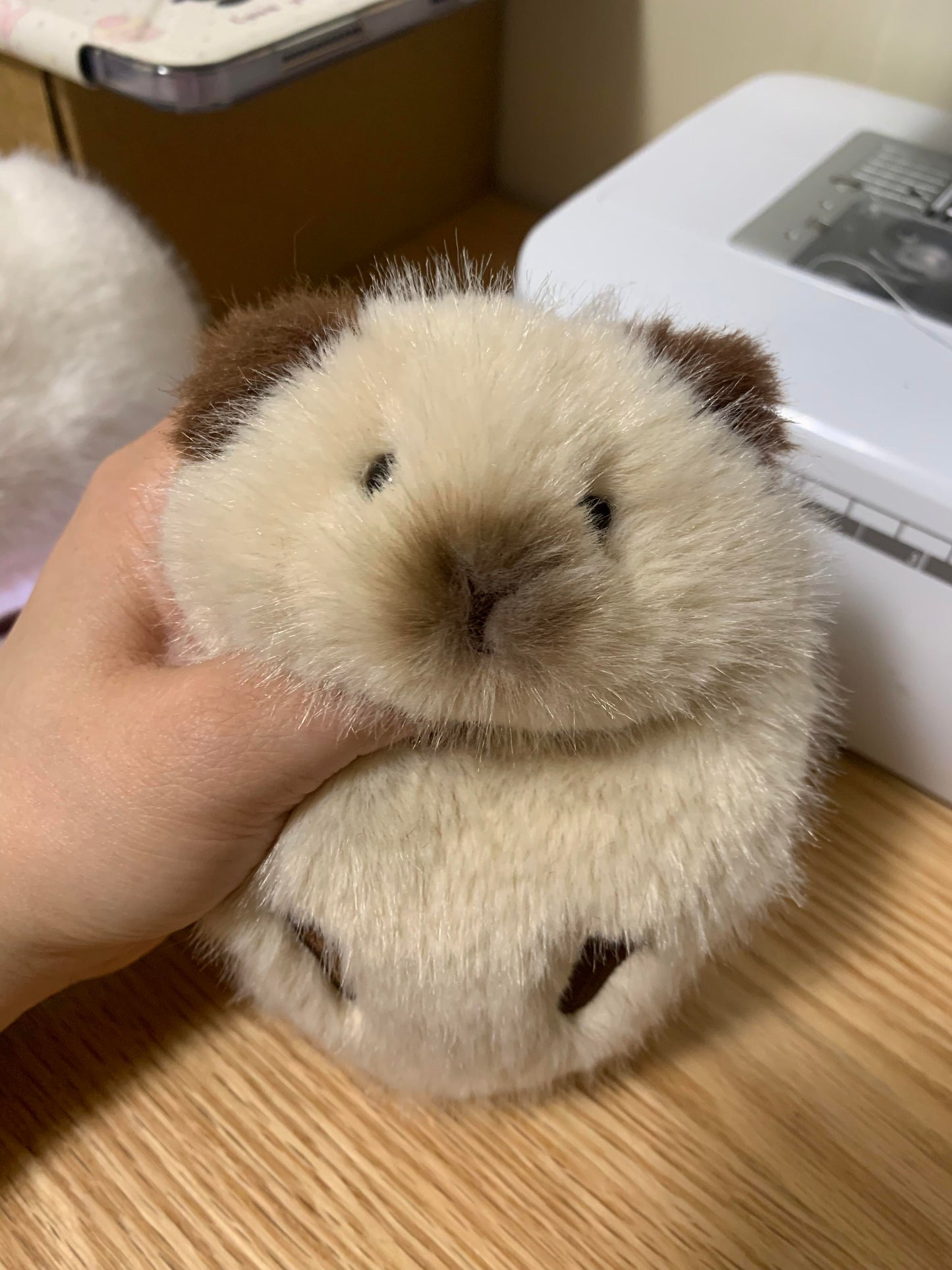 Cute Guinea Pig Plush Toy (Handmade)