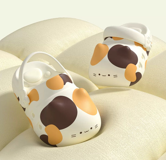 Cat Shoes 🐈