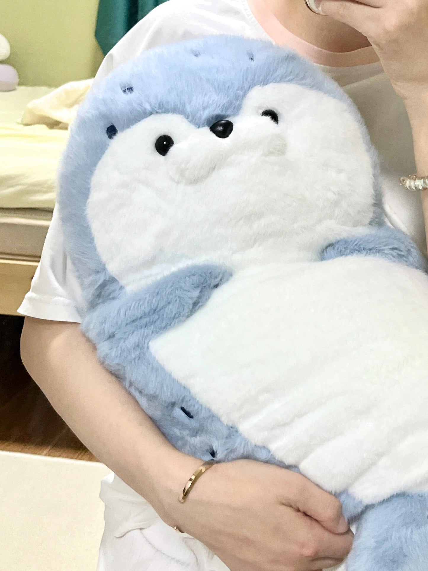 Seal 🦭🩵🤎🤍